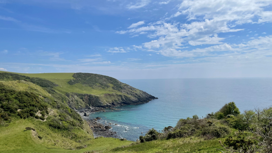 Grassy cliffs and a clear view out to a blue sea on a sunny day in Cornwall