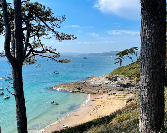 View of the beach looking through the trees