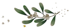 Festive mistletoe